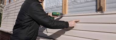 Best Vinyl Siding Installation  in Cedar Heights, MD